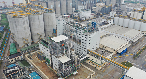邁安德承建的中糧成都600噸精煉項目一次投產成功